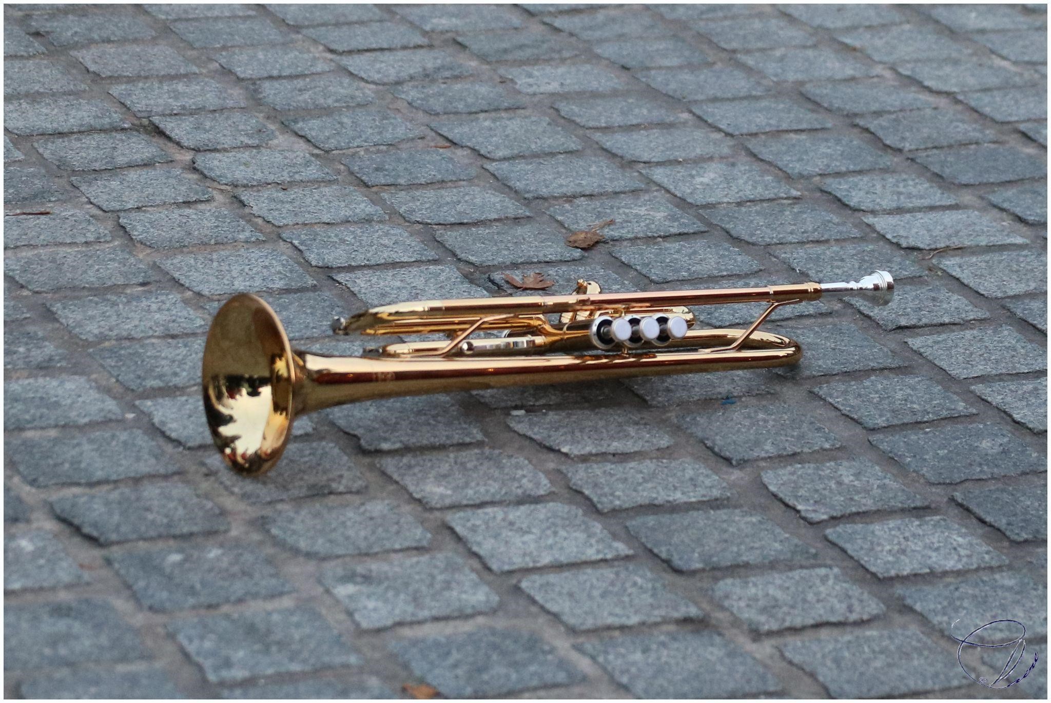 La trompette d'Adrien