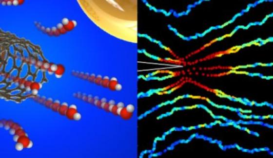 Massive radius-dependent flow slippage in carbon nanotubes